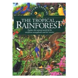  The Tropical Rainforest 