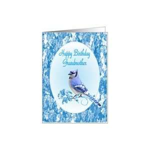  Grandmother Birthday, Blue Jay Card: Health & Personal 