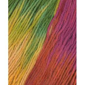  Twisted Sisters Jazz Hand Paints Yarn 50 YM Arts, Crafts 