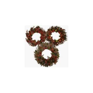  22 24Harv Twig Wreath/Pack of 6