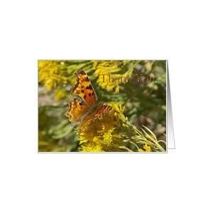 Thank You Orange Zephyr Butterfly Greeting Card Card 