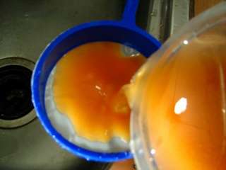   information on hatching brine shrimp eggs please visit our website