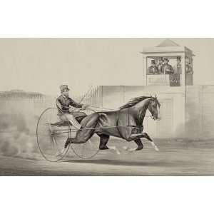   ) Art Greetings Card Horse Racing and Trotting Dexter Vintage Image