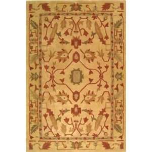  Safavieh   Rodeo Drive   RD275A Area Rug   5 x 8   Multi 