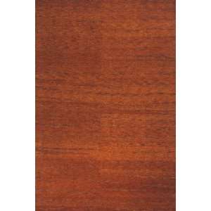   RUST Contemporary design Transitional Rug 5.30 x 8.00.