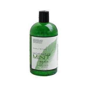   Archipelago Botanicals Morning Mint Body Wash 16oz shower gel: Beauty