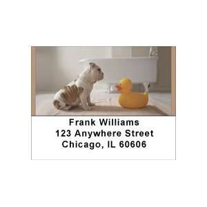  Bulldog Bathtime Address Labels: Office Products