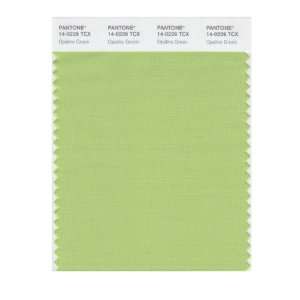  PANTONE SMART 14 0226X Color Swatch Card, Opaline Green 