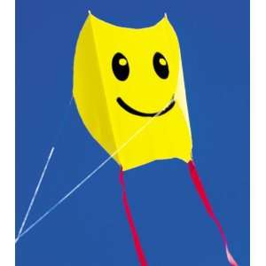  Mini Sled Single Line Kite Happy Face: Toys & Games