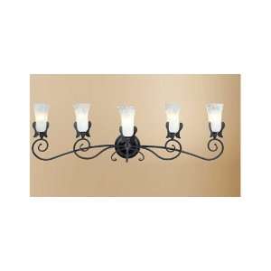  Bathroom Lighting Delicato 5 Light Vanity