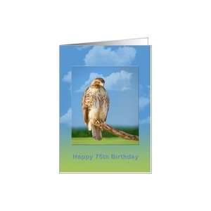  Birthday, 75th, Rough Legged Hawk Bird Card Toys & Games