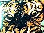 survivor eye of the tiger lp  