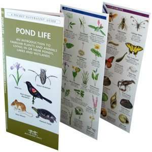  Pond Life Brochure