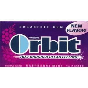Wrigleys Orbit Raspberry Mint Sugarfree Chewing Gum 24 14  