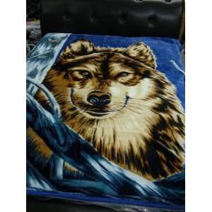   Queen Blanket Super Soft Blue Wolf Wolves Hiding New