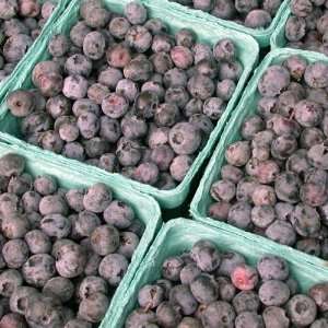 Fresh Maine Blueberries Grocery & Gourmet Food