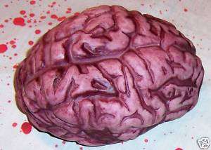 Bloody Brain Halloween Prop Decoration Body Parts Gag  