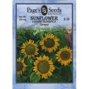  Sunflower, Dwarf Sunspot Patio, Lawn & Garden