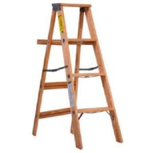  4 WD Type II Ladder: Home Improvement