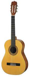 Takamine Jasmine JS441 Full Size Acoustic Guitar  