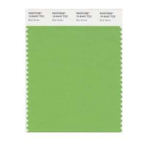  PANTONE SMART 15 6442X Color Swatch Card, Bud Green: Home 