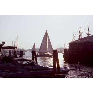 Sailboat at Newport, Newport, Rhode Island by Julie Stalzer:  