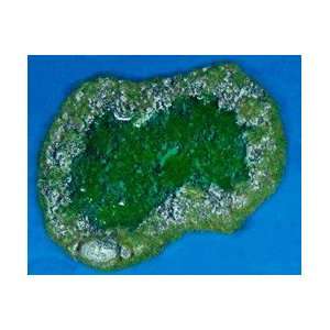  Rocky Pond A Swampy 28mm Miniature Terain: Toys & Games