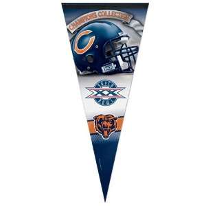   Champions Collection Vertical Premium Felt Pennant