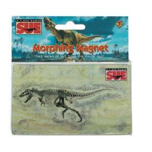  Safaris Sue Lenticular Magnet: Toys & Games