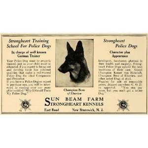   Sun Beam Farm Strongheart Kennels   Original Print Ad: Home & Kitchen