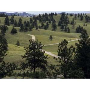  Lone Car Drives Through the Wildlife Loop in Custer State Park 
