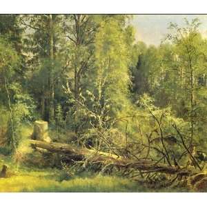   oil paintings   Ivan Shishkin   24 x 20 inches   The cut down tree