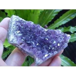  E2802 Gemqz Purple Amethyst Crystal Cluster Large 