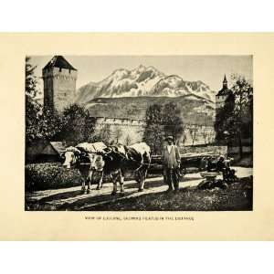 1909 Print Lucerne Pilatus Switzerland Luzem Swiss Ox Farmer Portrait 