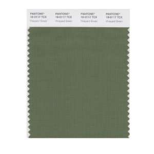  PANTONE SMART 18 0117X Color Swatch Card, Vineyard Green 