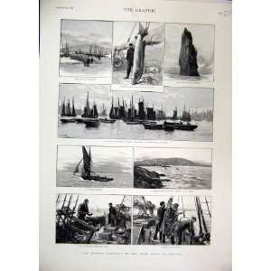  1892 Fishing Industry Ireland Cliffs Moher Valencia