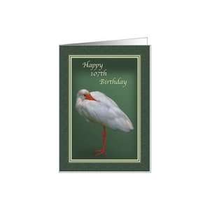  Birthday, 107th, White Ibis Bird Card: Toys & Games