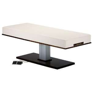  Living Earth Crafts   Pedestal Electric Lift Table: Health 