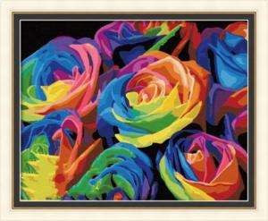 Colorful Paint By Number Kit 20x16 Oil Painting  