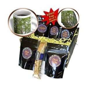 Florene Trees   Bamboo Forest   Coffee Gift Baskets   Coffee Gift 