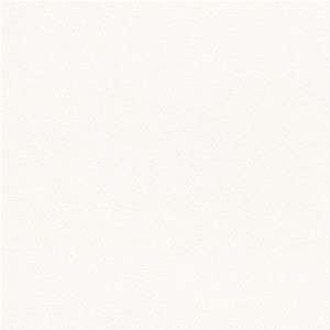  Fluorescent White 80# A6 Envelope 250 envelopes: Office Products