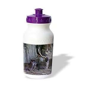   Hogge Jr Animals   Long Horn Deer   Water Bottles