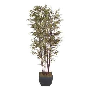 Foot Tall Realistic Bamboo Tree with Natural Trunks in Contemporary 