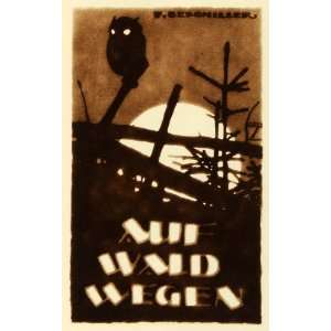   Auf Wald Wegen Forest Moon Owl Book Cover Art   Original Photogravure