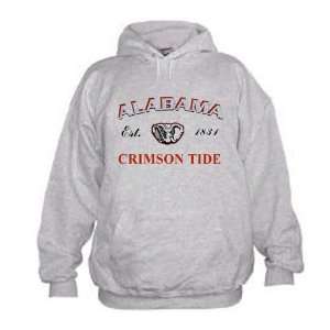  Alabama Crimson Tide Ash Alliance Embroidered Hoody 