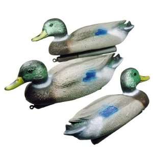   Drake Mallard Dabbling Duck Decoys w/ Weighted Keels: Everything Else