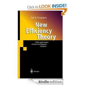 New Efficiency Theory With Applications of Data Envelopment Analysis 