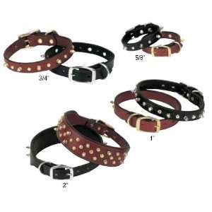  Spikes Black Collar Single Ply 3/4 x 13 by Weaver: Pet 