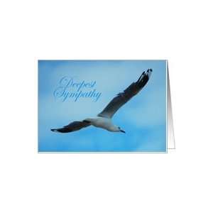  Deepest Sympathy  Bird flying. Card Health & Personal 