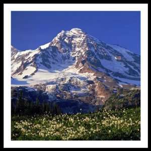 / South Tahoma Glacier   Mount Rainier National Park, Washington 